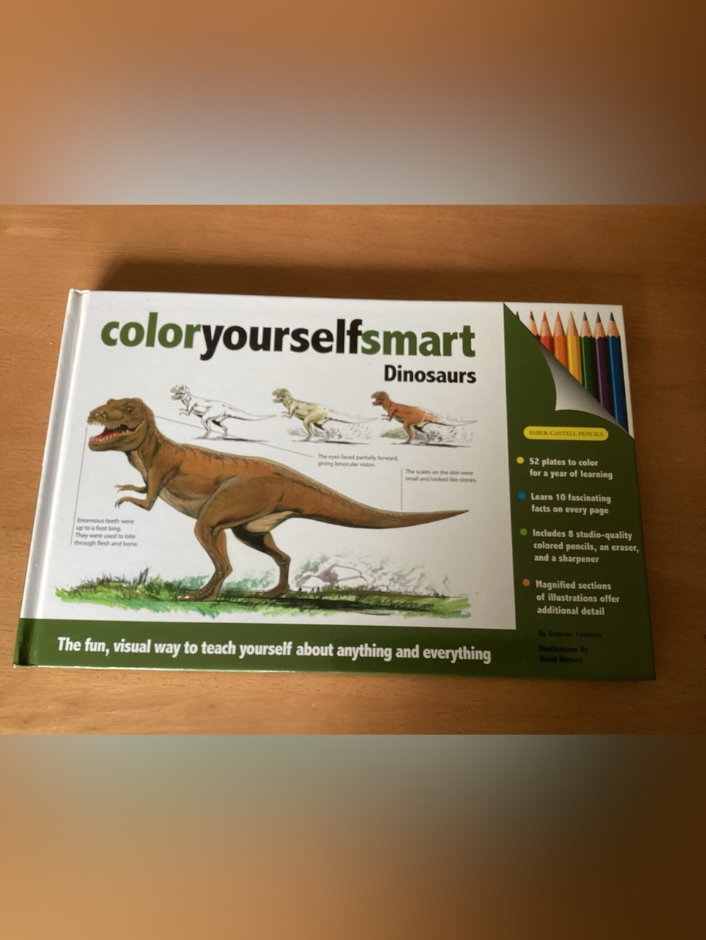 Dinosaurs Coloring Kit - Green/Brown